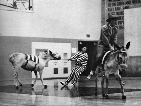 donkey basketball game 