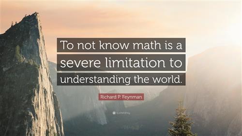 Math Understands the World 