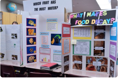  Science Fair & Project Information for 2022-2023